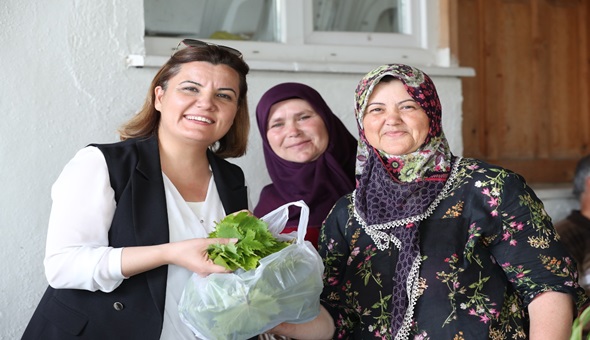 İzmit Kulfallı kirazı ve üzümü ulusal pazara açılacak