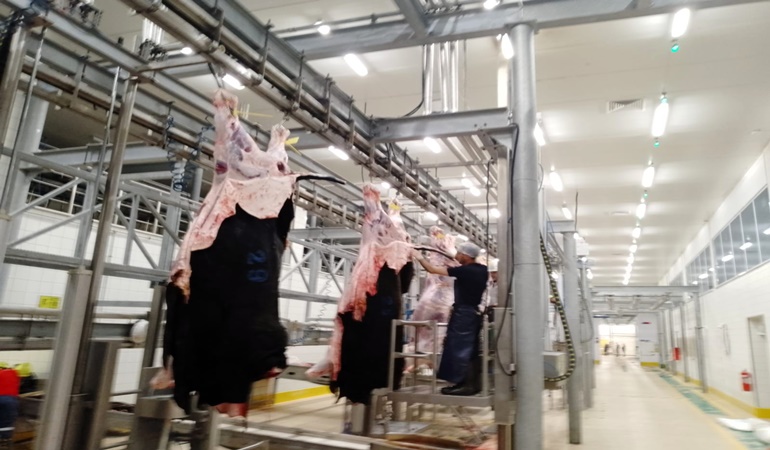 İzmit Mezbahası’nda bayramın ilk günü 145 hayvan kesildi