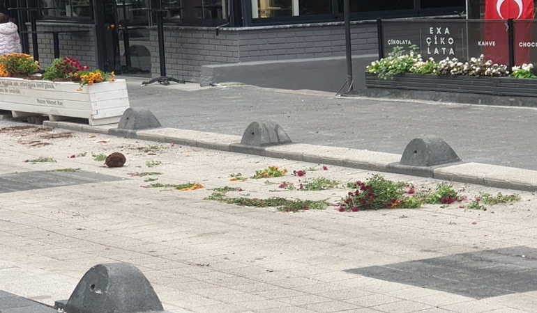 İzmit Rauf Orbay Sokak’ta kamu mallarına zarar verildi