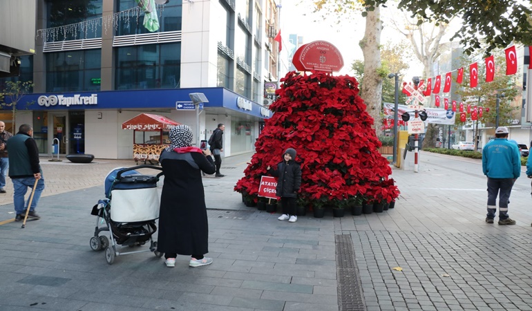 İzmit sokaklarında 1085 Atatürk çiçeği