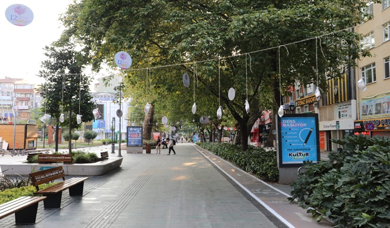 İzmit’te ağaçlar pişmaniye açtı