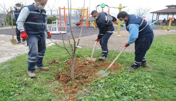 İzmit’te çocuklar meyveyi dalından yiyecek