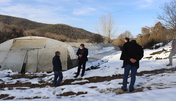 İzmit’te hasar gören seralar yerinde incelendi