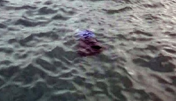 İzmit'te intihar: İskeleden kendini denize attı