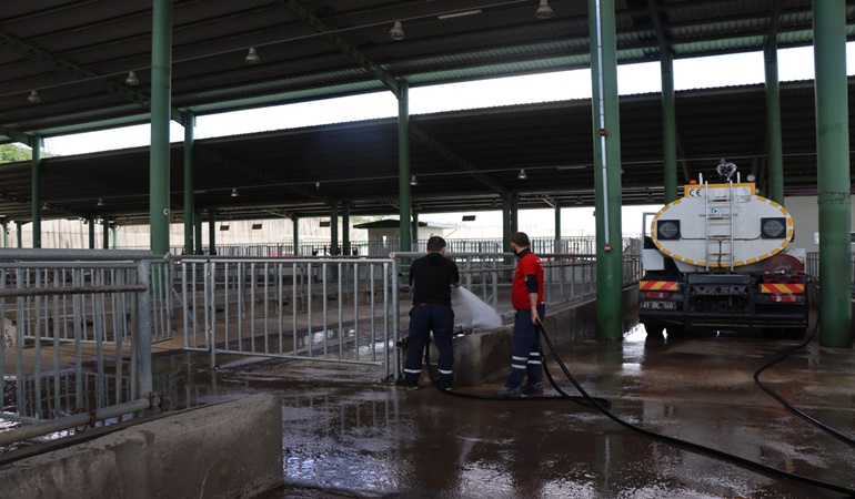 İzmit’te Modern Hayvan Pazarı, bayrama hazırlanıyor