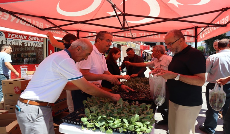 İzmit’te ücretsiz fide dağıtıldı