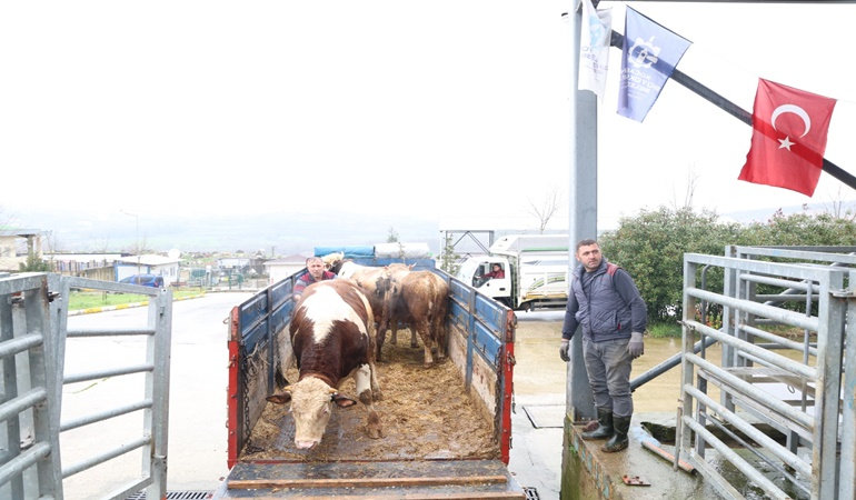 İzmit’teki mezbahada hijyenik ve helal kesim
