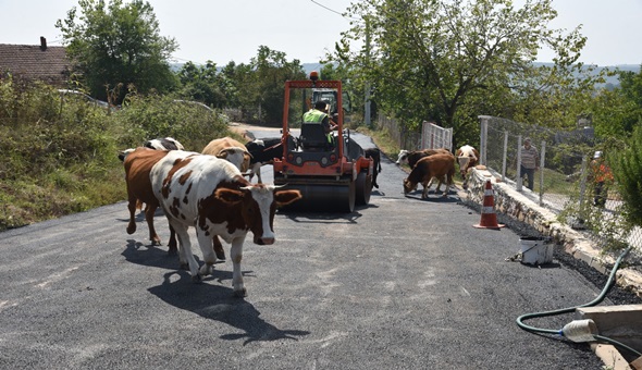 İzmit Yassıbağ Köyü’nde, bir yol daha asfaltla tanıştı