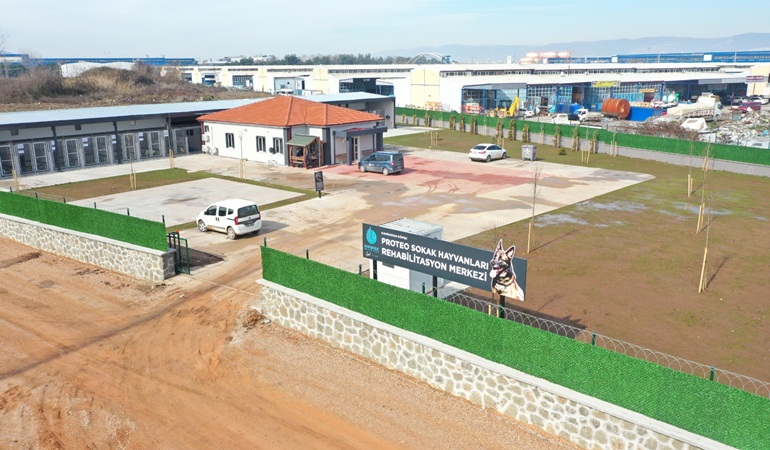 Kahraman köpek Proteo'nun adı Başiskele’de yaşayacak 