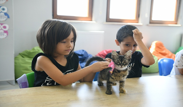 Kahve’nin yavrularını bilgi evleri sahiplendi