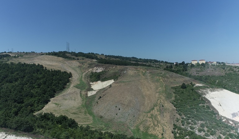 Kandıra’da 60 dönüm araziye 4.500 ağaç