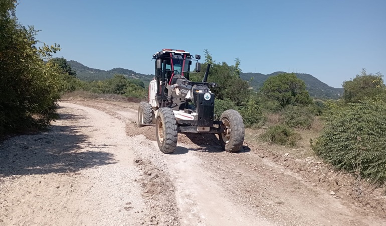 Kandıra’da fındık hasadı öncesi üreticiye yol desteği