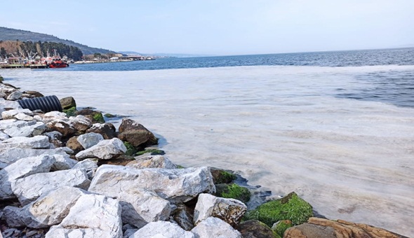 Karamürsel'de denizi kirlettiler