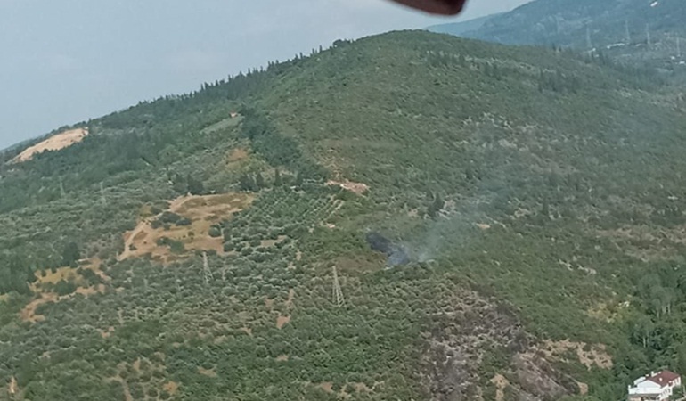 Karamürsel’de orman alev aldı, 1 kişi gözaltına alındı