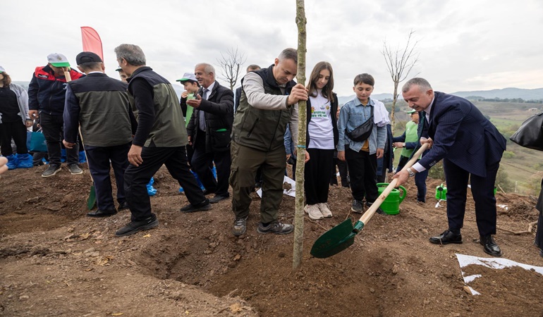Karamürsel’de yanan ormanlık alana 3 bin fidan dikildi