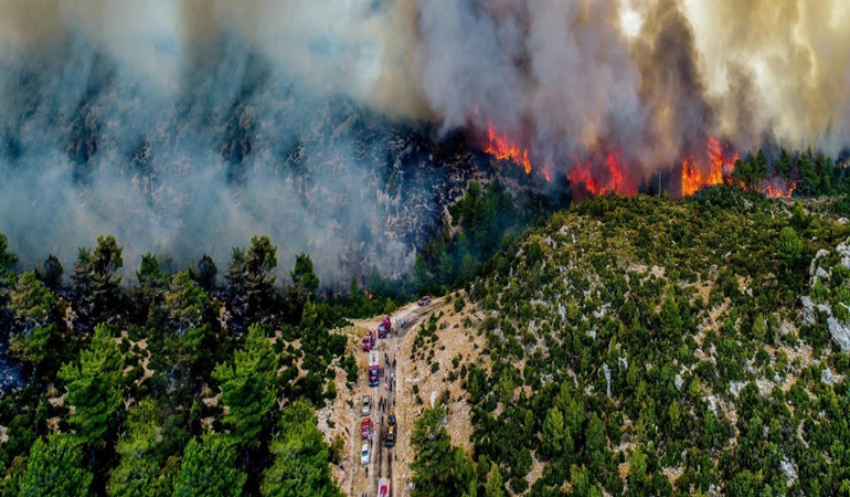Karamürsel’de yangın köy boşalttırdı