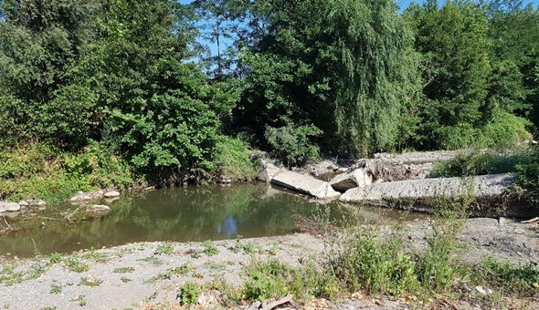 Karamürsel'deki zehirlenme vakaları tesadüfi değil
