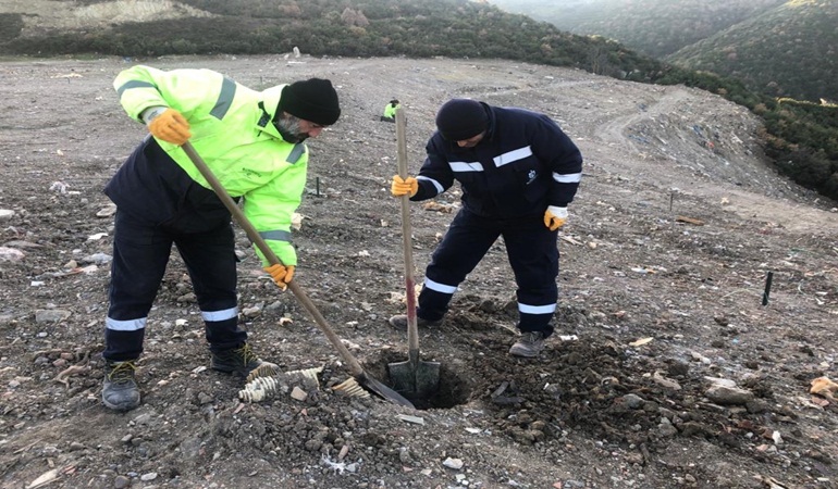 Karamürsel Dereköy’e 1000 ağaç fidanı dikilecek