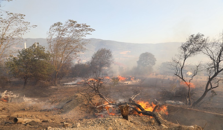 Karamürsel saatlerdir yanıyor!