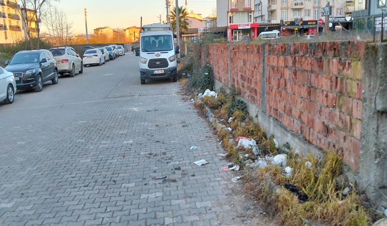 Kartepe Belediyesi yetkilileri bu sokaktan geçmiyor mu?