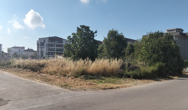 Kartepe bu sokağın çevresindeki otlar insan boyunu aştı
