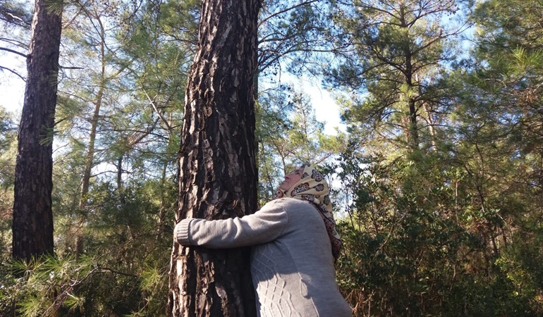 Kartepe Çevre ve Yaşam Platformu’ndan çağrı: Akbelen’deki tahribatı durdurun!