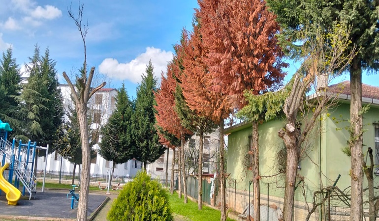 Kartepe’deki o parkta yangın geliyorum diyor!