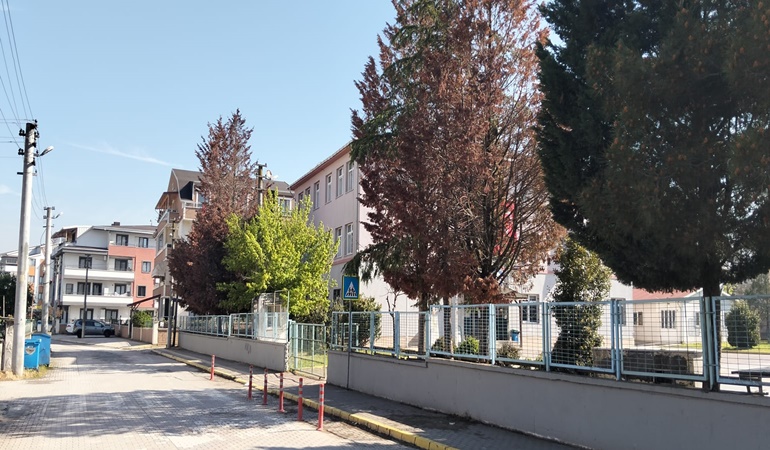 Kartepe’deki okulun bahçesindeki ağaçlar kurudu
