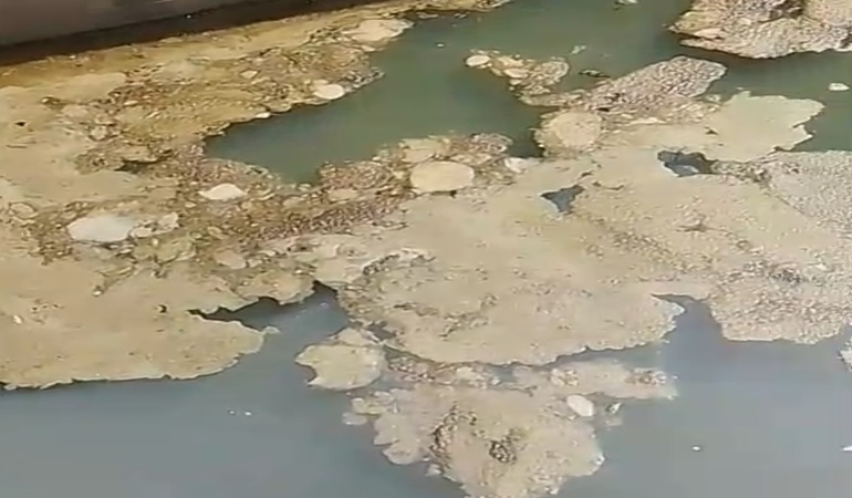 Kartepe Kule Deresi’nden yine pis koku yayılmaya başladı