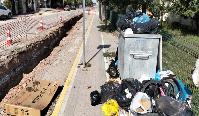 Kartepe Sabancı Caddesi’ni sinekler bastı!