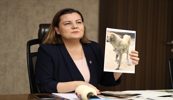 Katil İzmit Belediyesi diye tweet atın talimatı!