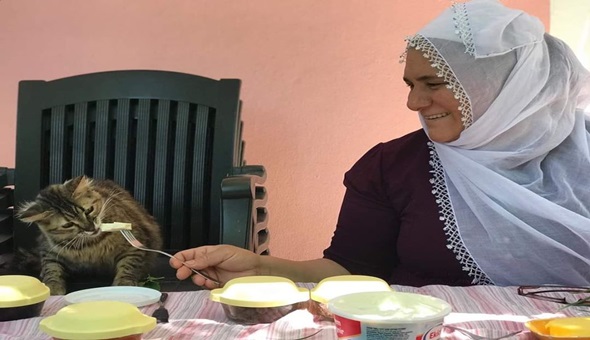 Kediyi kendi elleriyle besleyen başkan!