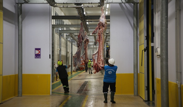 Kesimhanede tekbirlerle kurban kesimi yapılıyor
