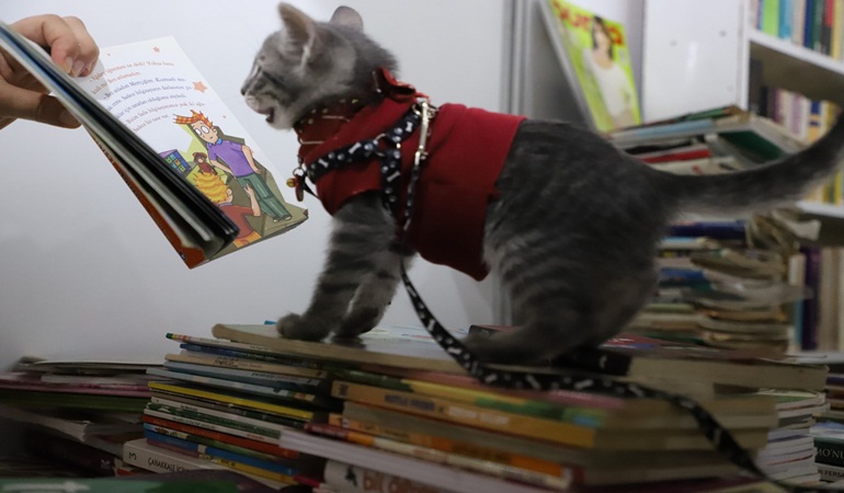 Kitap Fuarı'nın en sevimli misafiri Luna
