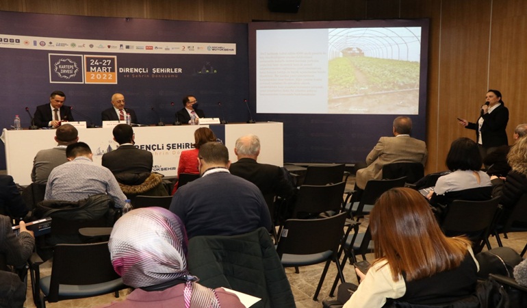 Kocaeli, ata tohumunu gün yüzüne çıkarttı