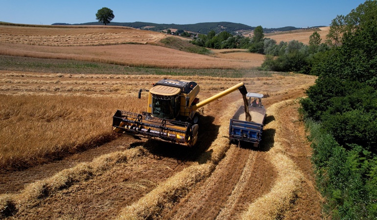 Kocaeli’de çiftçilere yine yüzde 75 hibeli tohum desteği