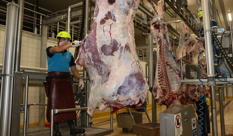 Kocaeli’de kurban kesim başvuruları 11 Mayıs’ta başlıyor