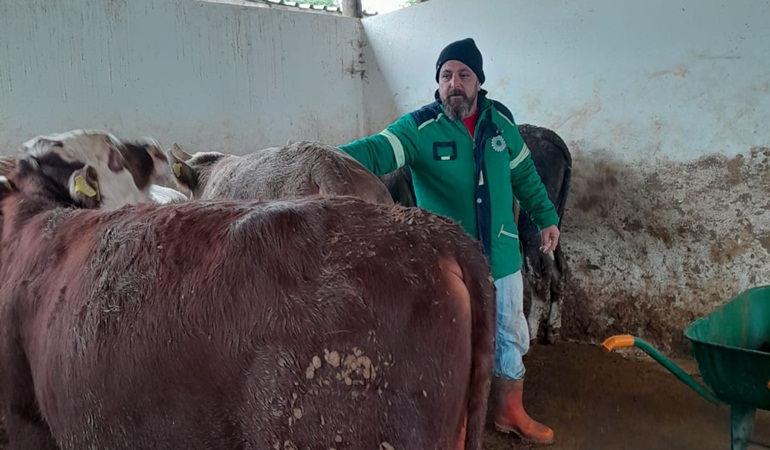 Kocaeli’nde kalitenin adresi Kuzey Besi 