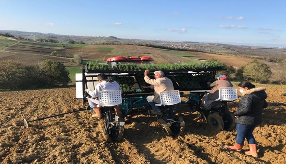 Kocaeli’nin tüm ilçelerinde tıbbi bitkiler yetiştirilecek