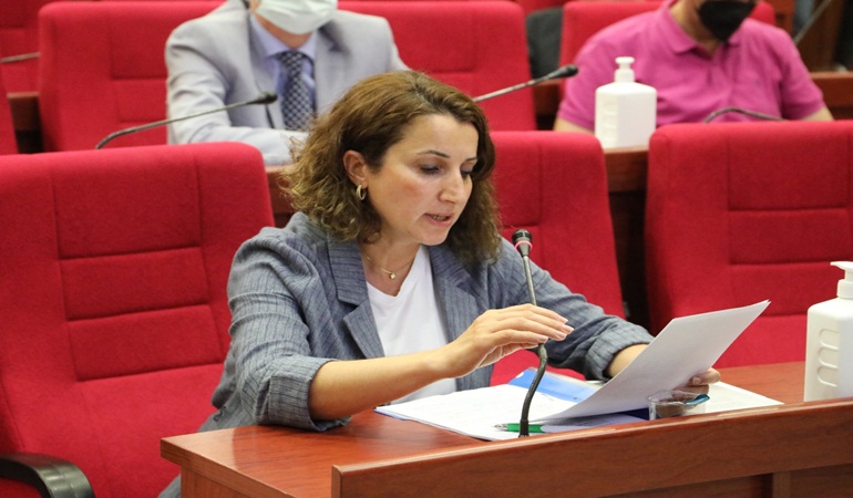 Konu Hürriyet olunca mı milletvekilliğini hatırladın