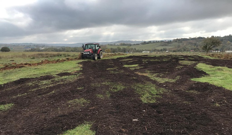Körfez’de atıl arazilere buğday ekildi, kompost kullanıldı