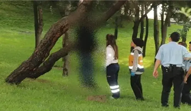Körfez’de şok! Ağaca asılı halde bulundu