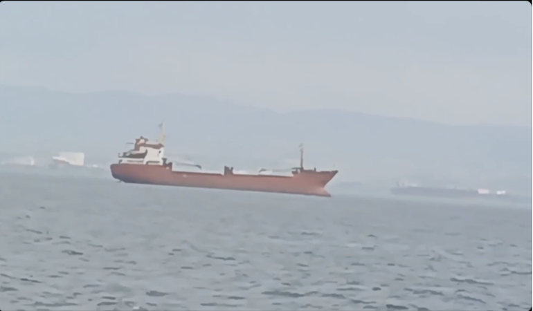 Körfez’e demirleyen gemiler denizi kirletiyor