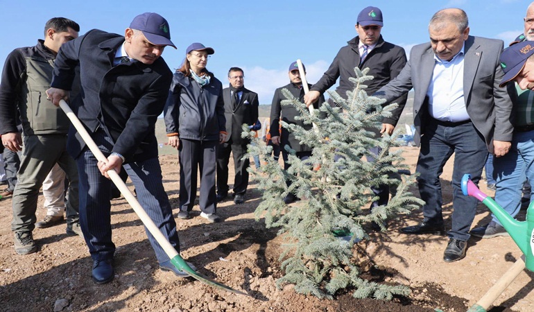 Körfez, geleceğe nefes oldu