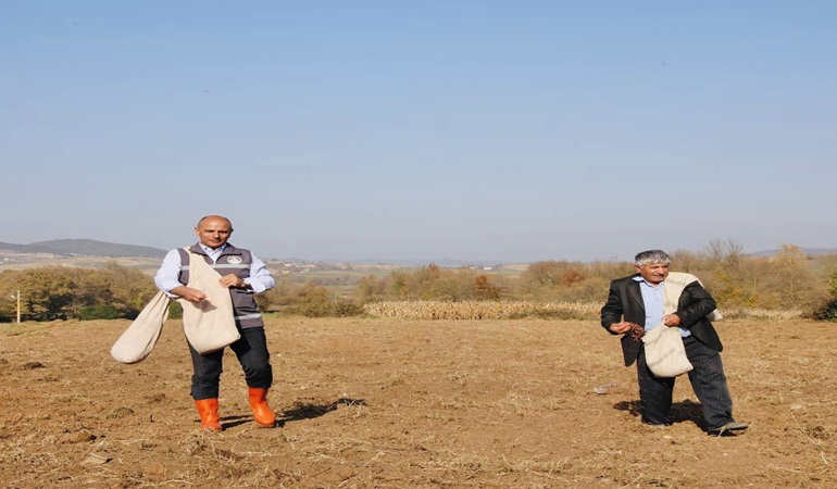 Körfezli çiftçilere 37 ton tohum dağıtıldı