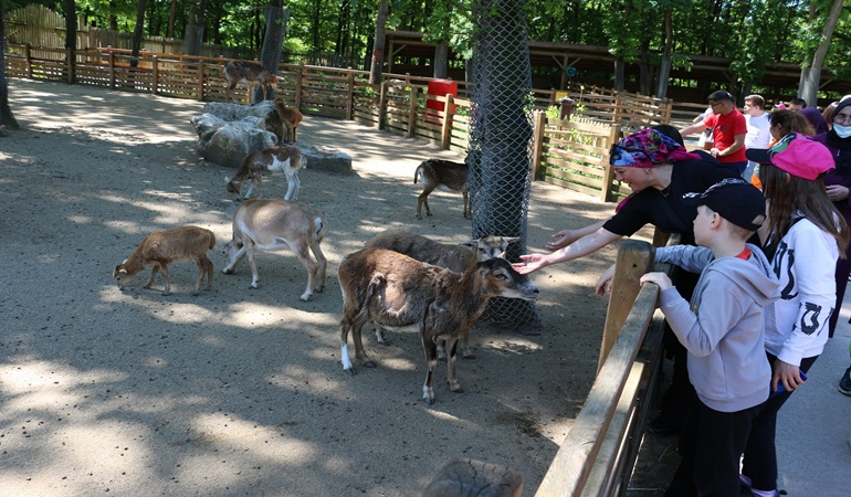 Körfezli özel çocuklar Ormanya’yı gezdi