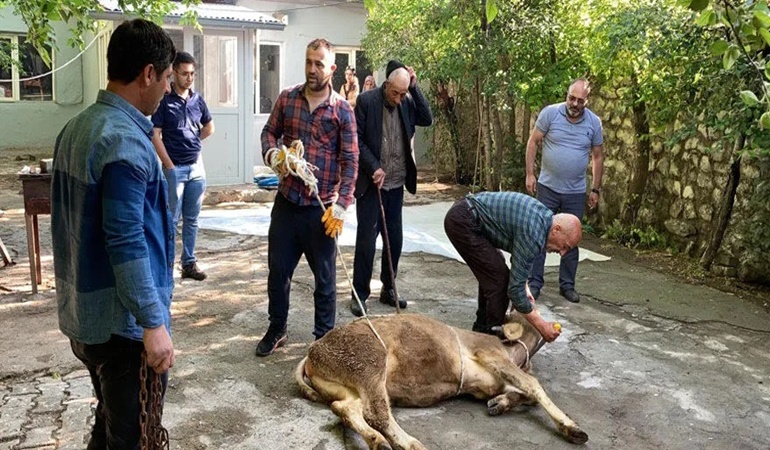 Kurban keserken bunu yapanlara ağır ceza!