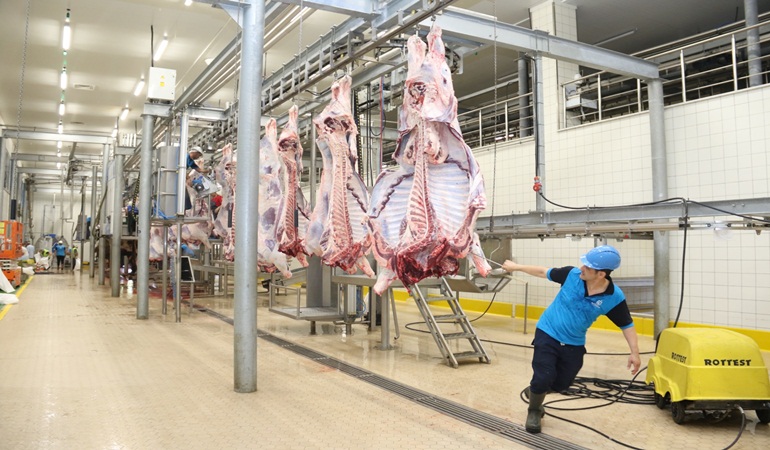 Kurbanlar Büyükşehir’in modern mezbahasında kesiliyor