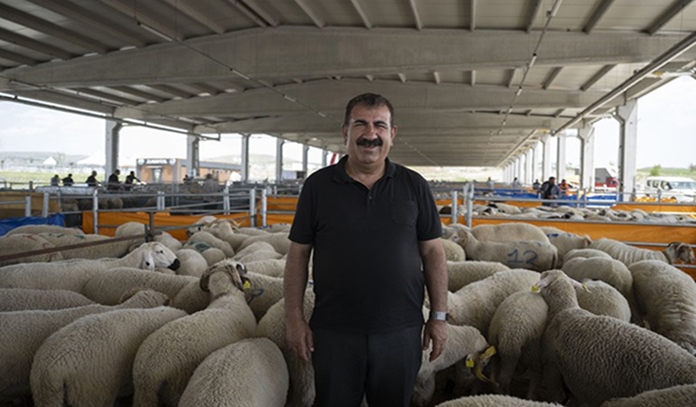 Kurbanlık alırken dolandırılmayın!