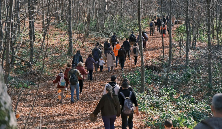 Kuzuyayla’da mantar aradılar